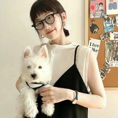 情归延安
